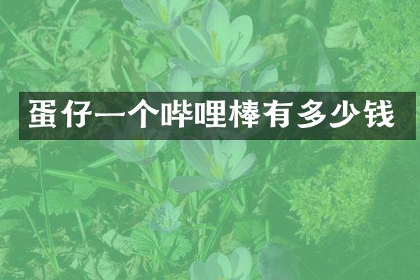 蛋仔一个哔哩棒有多少钱