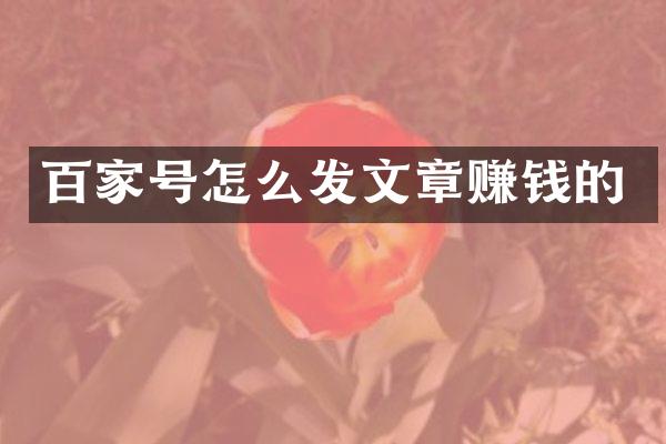 百家号怎么发文章赚钱的