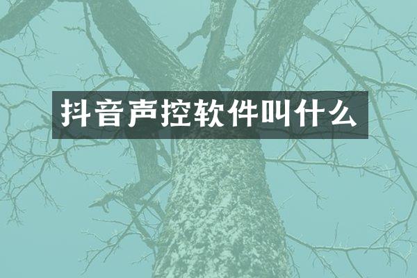抖音声控软件叫什么