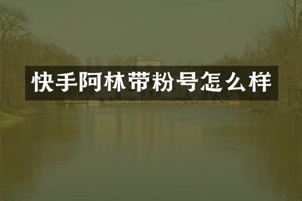 快手阿林带粉号怎么样