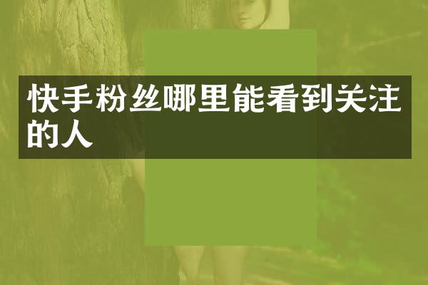 快手粉丝哪里能看到关注的人
