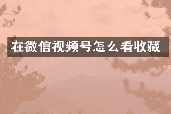 在微信视频号怎么看收藏