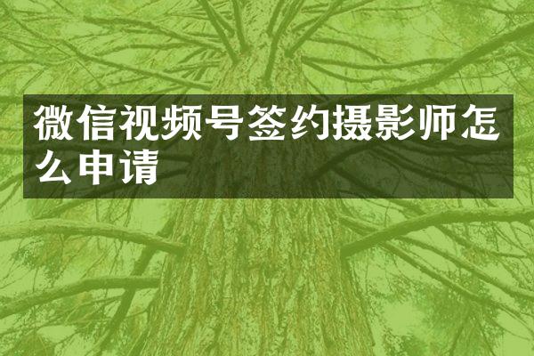 微信视频号签约摄影师怎么申请