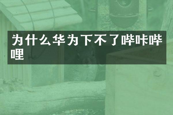 为什么华为下不了哔咔哔哩