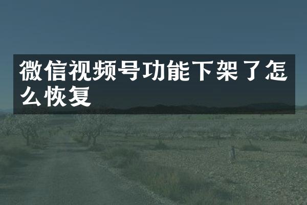 微信视频号功能下架了怎么恢复