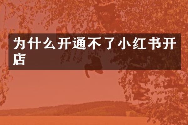 为什么开通不了小红书开店