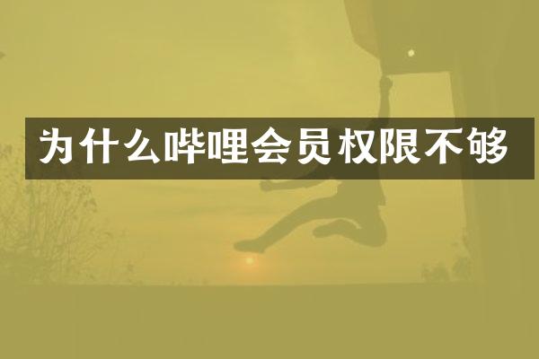 为什么哔哩会员权限不够