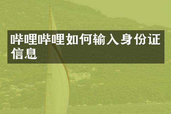 哔哩哔哩如何输入身份证信息