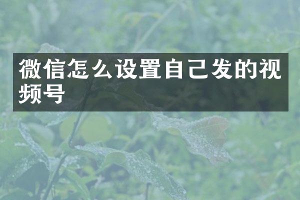 微信怎么设置自己发的视频号