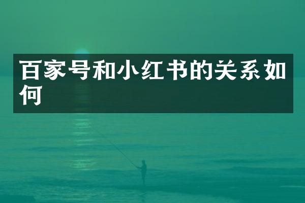 百家号和小红书的关系如何