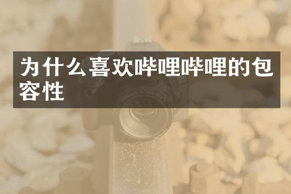 为什么喜欢哔哩哔哩的包容性