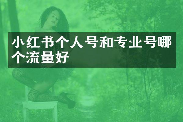 小红书个人号和专业号哪个流量好