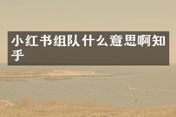 小红书组队什么意思啊知乎