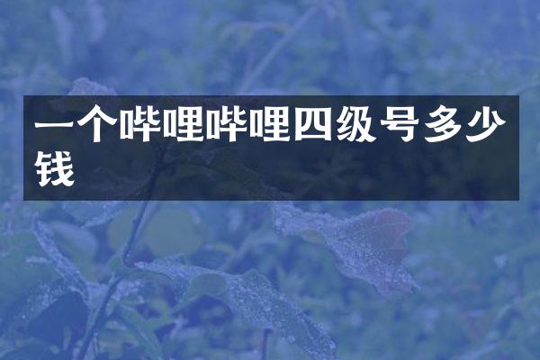 一个哔哩哔哩四级号多少钱