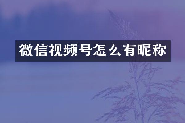 微信视频号怎么有昵称