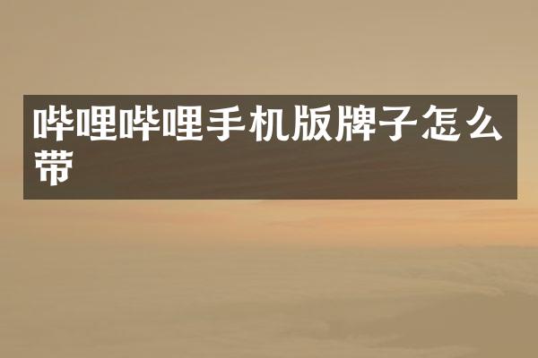 哔哩哔哩手机版牌子怎么带