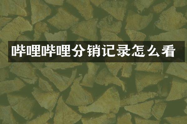 哔哩哔哩分销记录怎么看