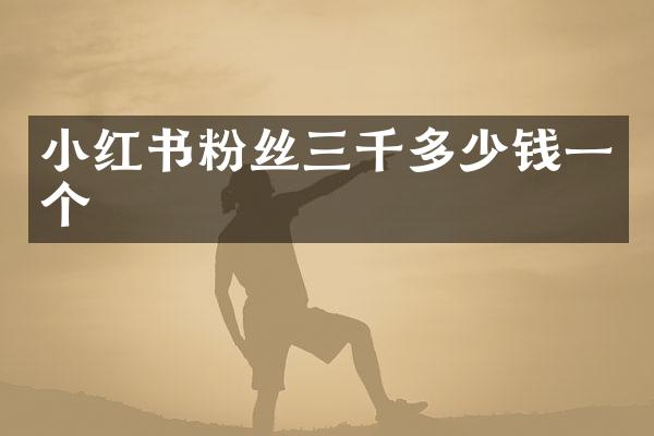 小红书粉丝三千多少钱一个