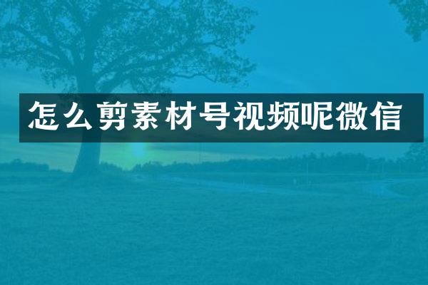 怎么剪素材号视频呢微信