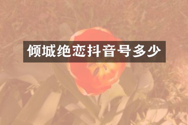 倾城绝恋抖音号多少