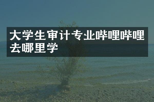 大学生审计专业哔哩哔哩去哪里学