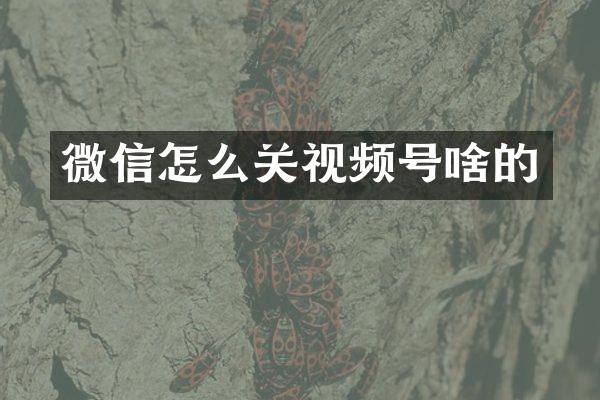 微信怎么关视频号啥的