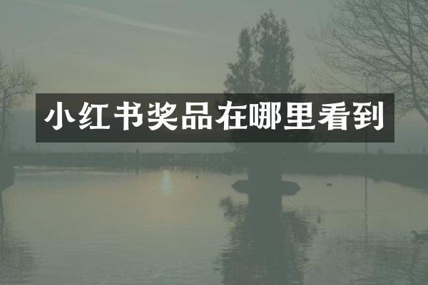 小红书奖品在哪里看到