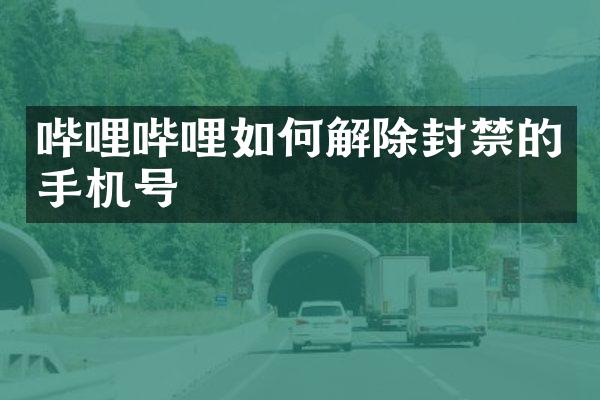 哔哩哔哩如何解除封禁的手机号