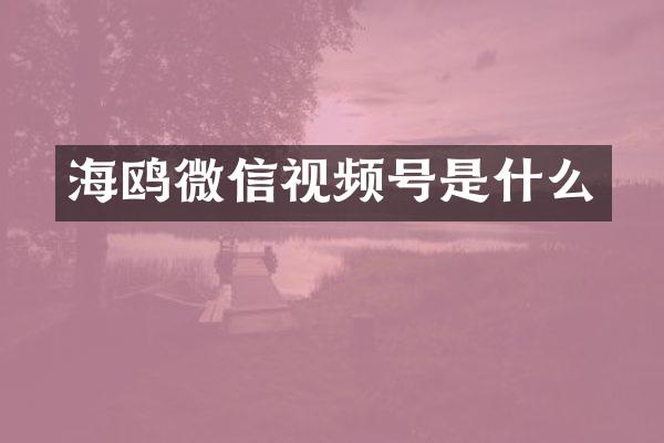 海鸥微信视频号是什么
