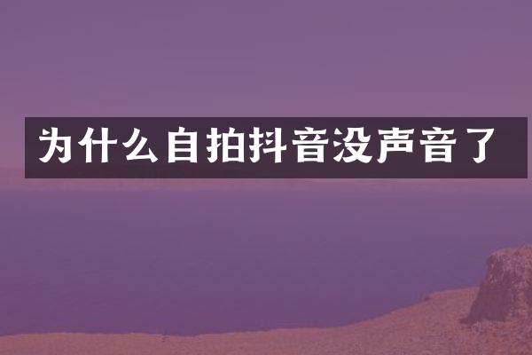 为什么抖音没声音了