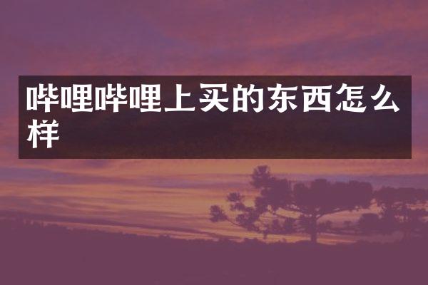 哔哩哔哩上买的东西怎么样