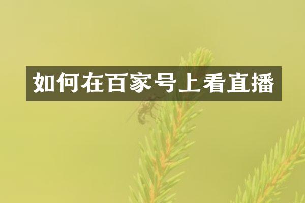 如何在百家号上看直播