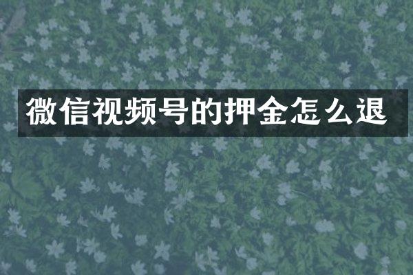 微信视频号的押金怎么退