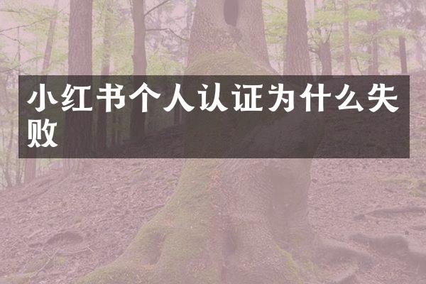 小红书个人认证为什么失败