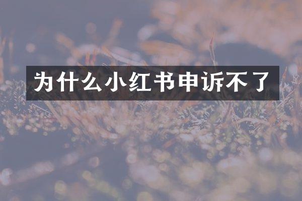 为什么小红书申诉不了