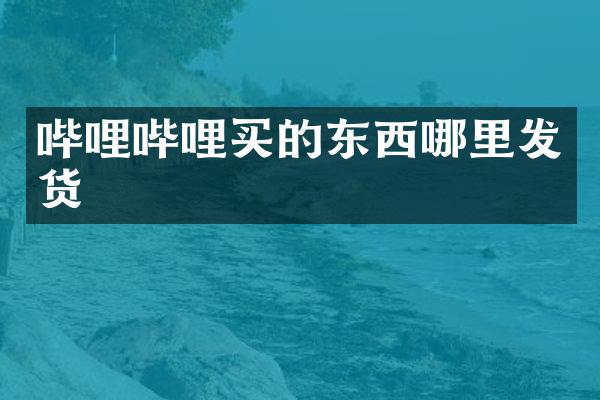 哔哩哔哩买的东西哪里发货