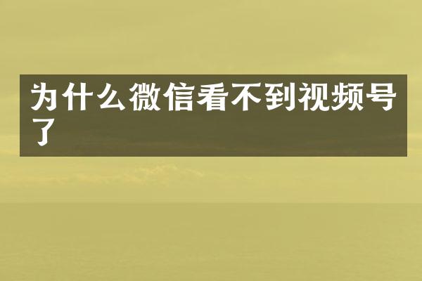为什么微信看不到视频号了