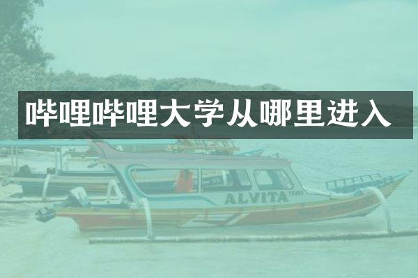 哔哩哔哩大学从哪里进入