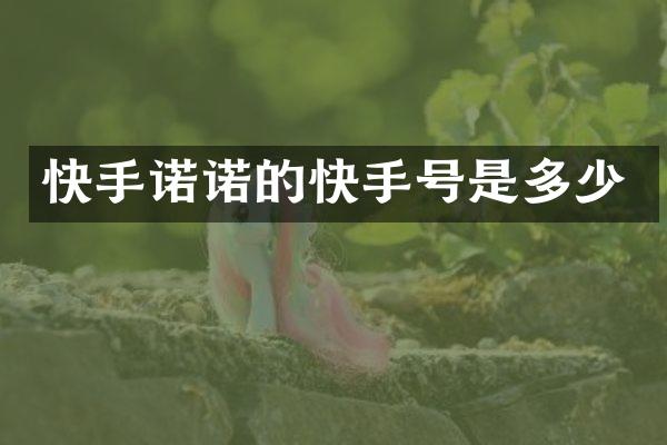 快手诺诺的快手号是多少