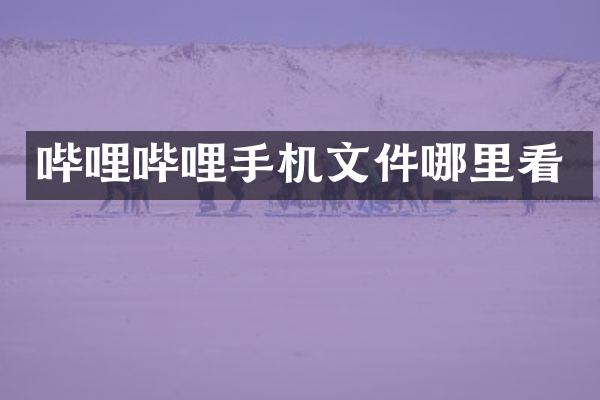 哔哩哔哩手机文件哪里看