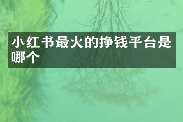 小红书最火的挣钱平台是哪个