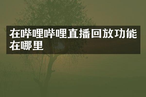 在哔哩哔哩直播回放功能在哪里