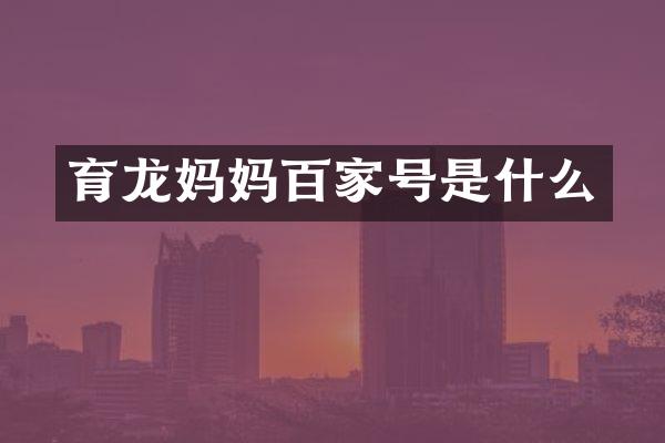育龙妈妈百家号是什么