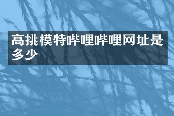 高挑模特哔哩哔哩网址是多少