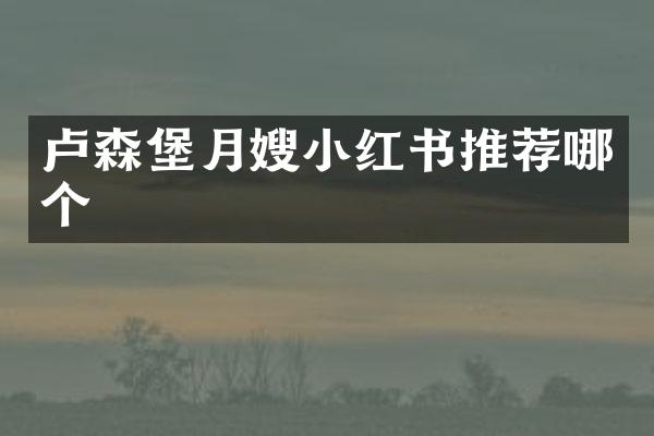 卢森堡月嫂小红书推荐哪个