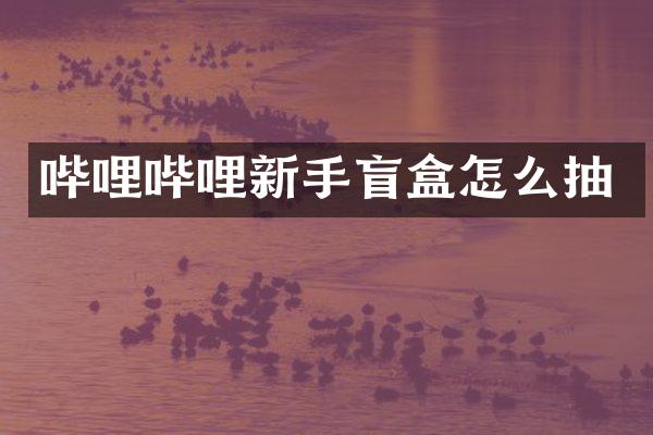 哔哩哔哩新手盲盒怎么抽