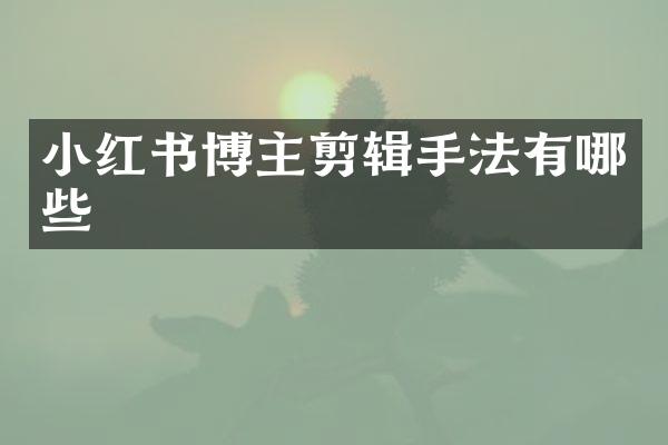 小红书博主剪辑手法有哪些