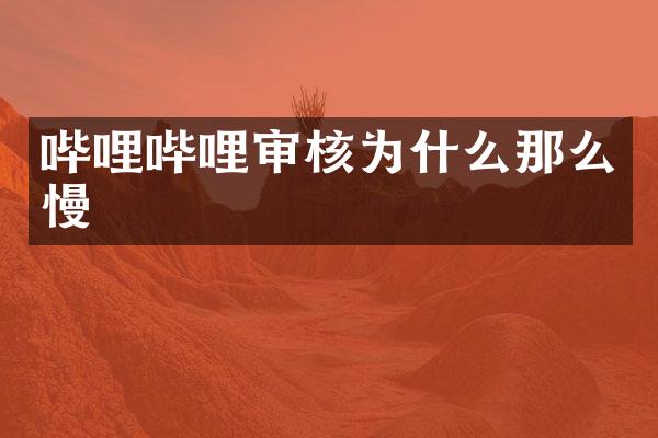 哔哩哔哩审核为什么那么慢