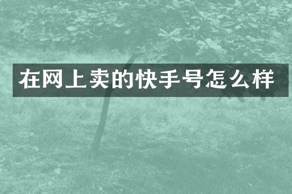 在网上卖的快手号怎么样