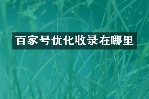 百家号优化收录在哪里